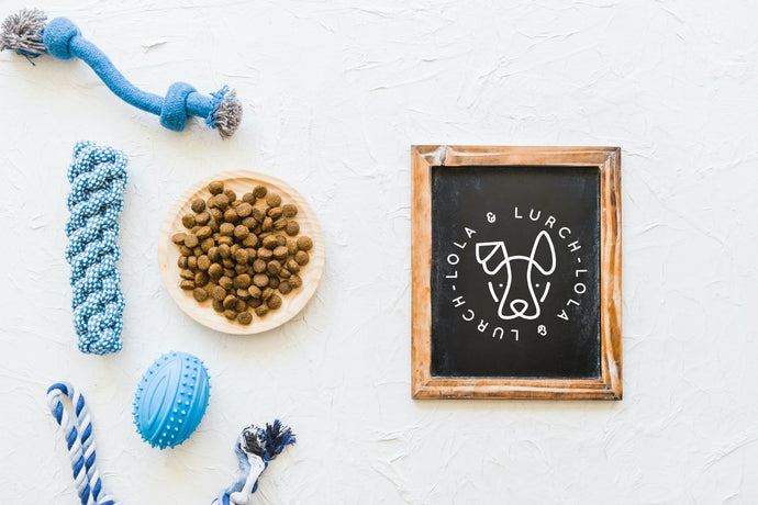 10 Essential products every pet owner needs!